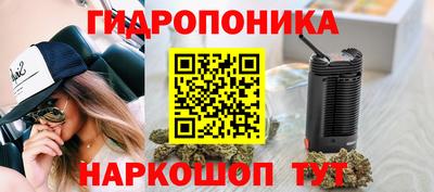 2c-b Камышлов