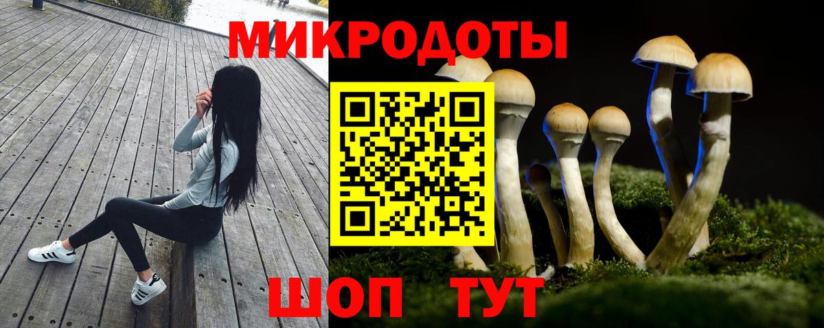 Псилоцибиновые грибы мухоморы Коряжма