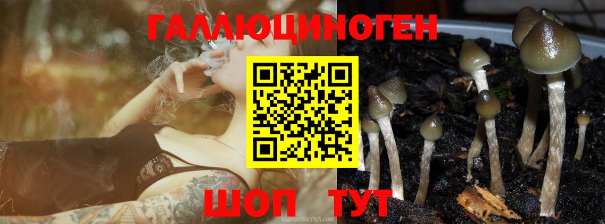 Кокаин  Гашиш  Мефедрон кристаллы  Вход с VPN  Коряжма  Меф 